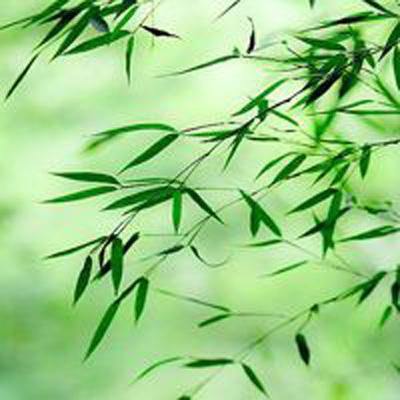 阴阳师智走棋国际版下载