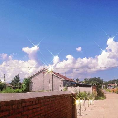 三生枕上书三生情缘官方版下载